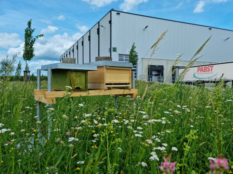 Manche Firmen loben auch ein „Jahr der Nachhaltigkeit“ aus, in der die Anstrengungen zum Thema nochmals intensiviert werden, so etwa die Pabst Transport GmbH & Co. KG. Alleine im Nachhaltigkeitsjahr 2022 konnte die Firma knapp eine Million Liter Wasser, 200.000 Seiten Papier, 1,3 Millionen Liter Diesel, 100.000 kWh Strom und 1.000 Tonnen CO2 einsparen. Blühwiesen und Bienenstöcke auf dem Firmengelände in Gochsheim gibt es bereits seit mehreren Jahren